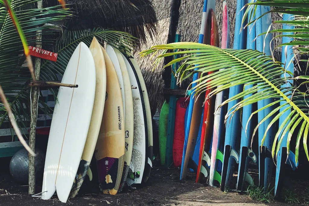 Main Focus: Surfing