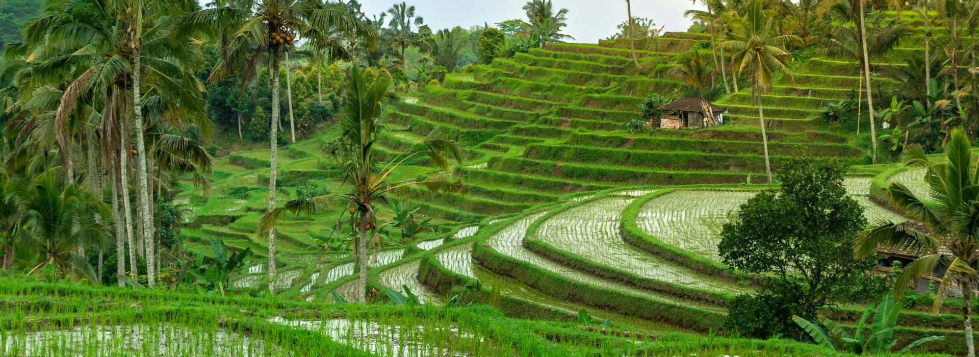A Guide to Bali’s Rainy Season - What to do Beyond Surfing