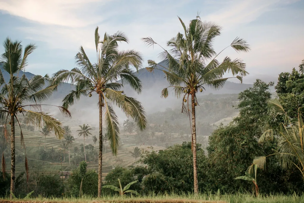 What is Nyepi?