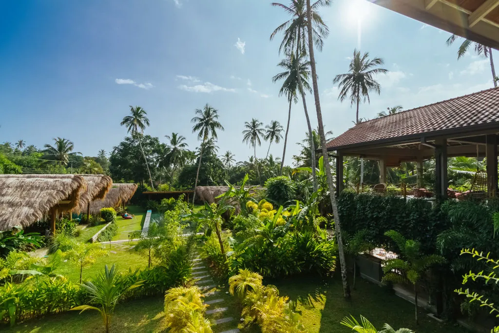 Entdecke Sri Lanka und unsere Surf Camps auch in der Regenzeit