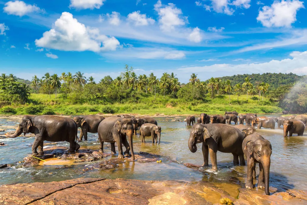 Was tun in Sri Lankas Nebensaison