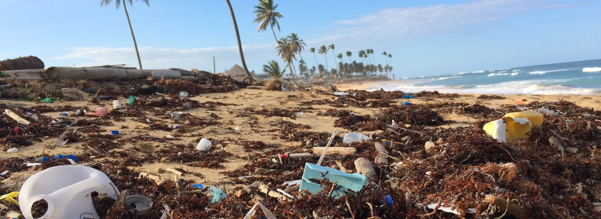 So kannst du der Umwelt auf Bali helfen