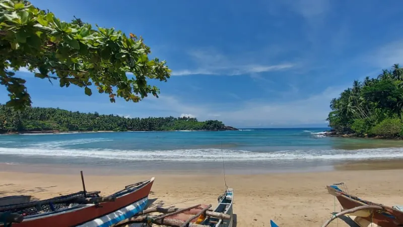 Where the jungle meets the ocean - Hiriketiya Beach