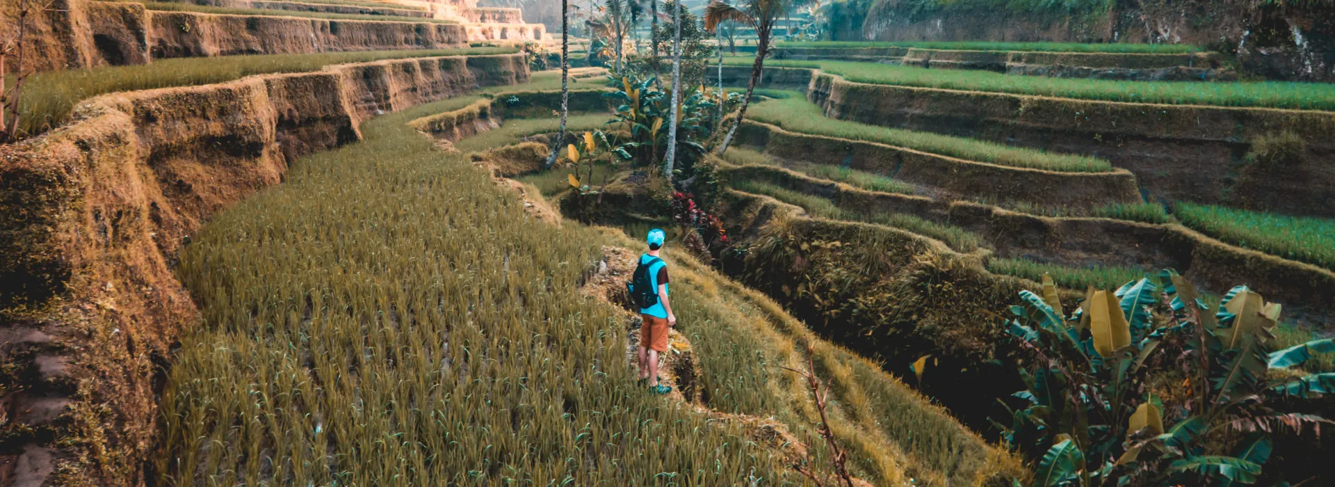 Travel Tips Bali: What you need to know before visiting Bali