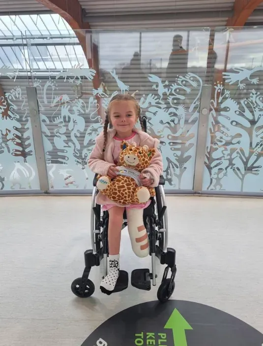 a girl in a wheelchair holding a teddy bear