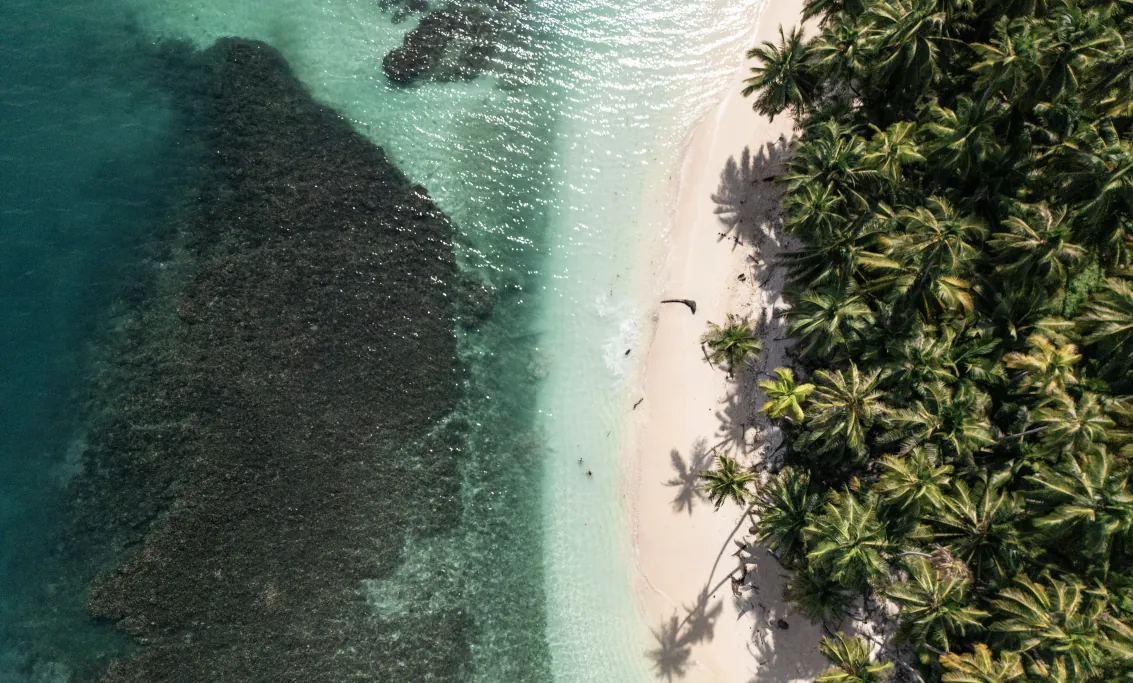 A long stretch of white sand beach lined with coconut trees and turquoise blue waters