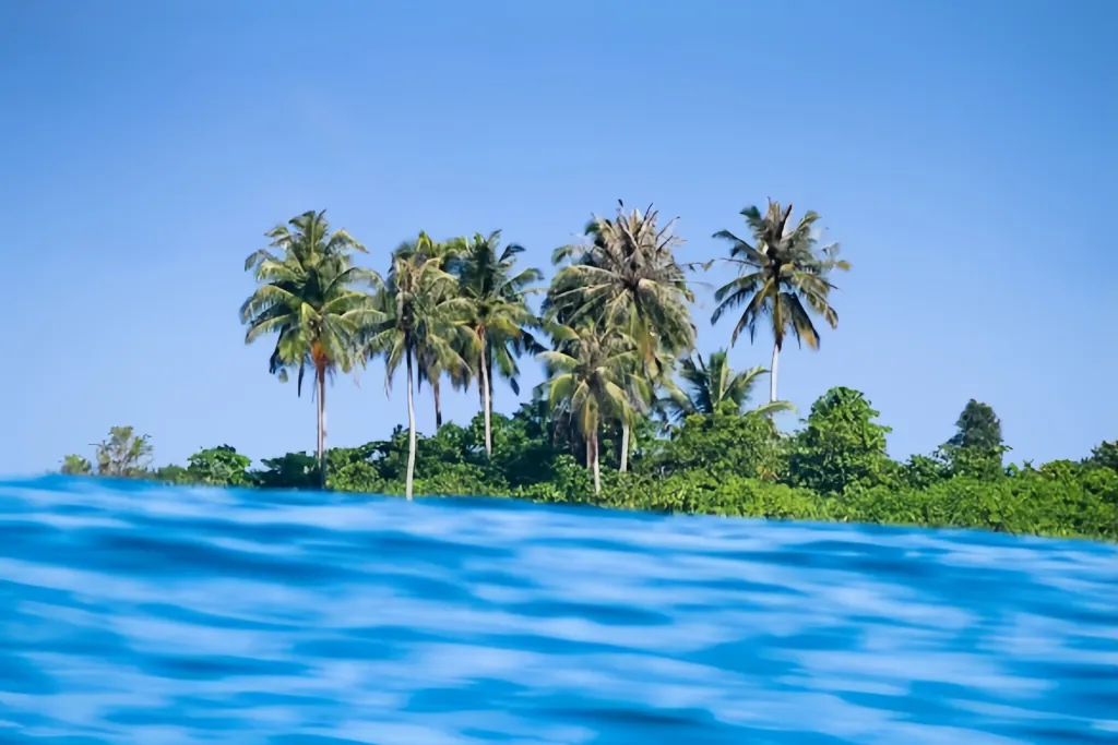 AN UNDERWATER IMAGE OF THE OCEAN AND PALM TREES IN BACKGROUND
