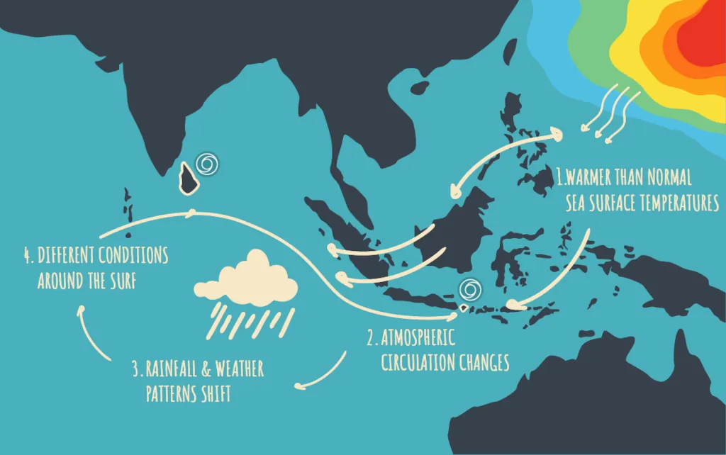 an infographic on how el nino forms