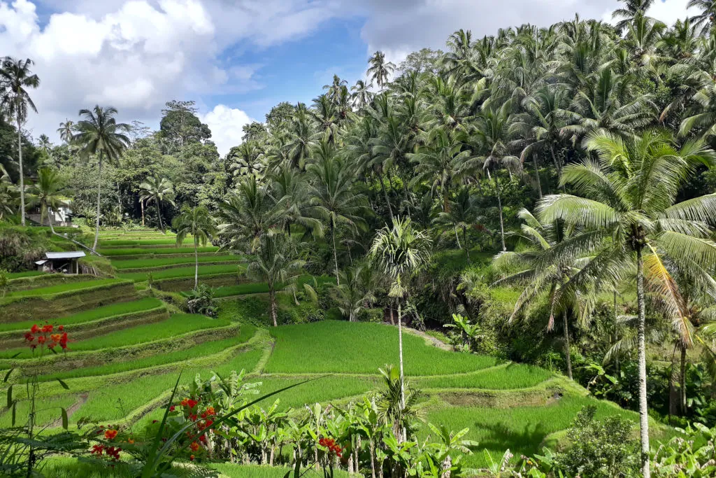 Benefits of visiting and surfing during Bali’s wet season