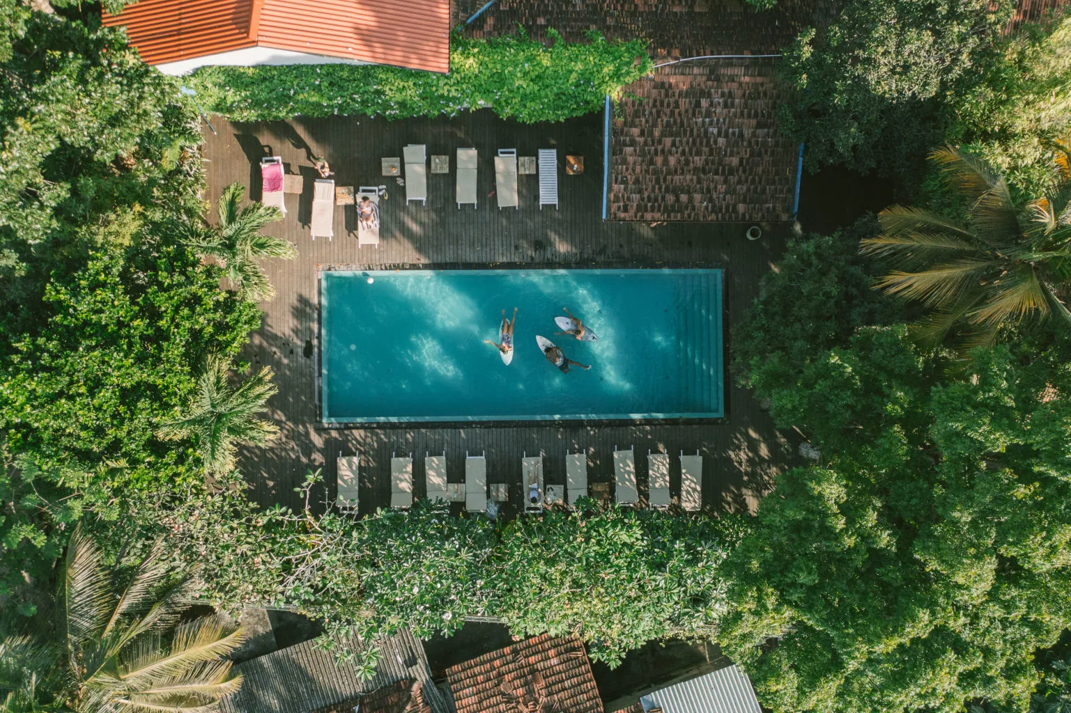 Tropical Vibes in Weligama