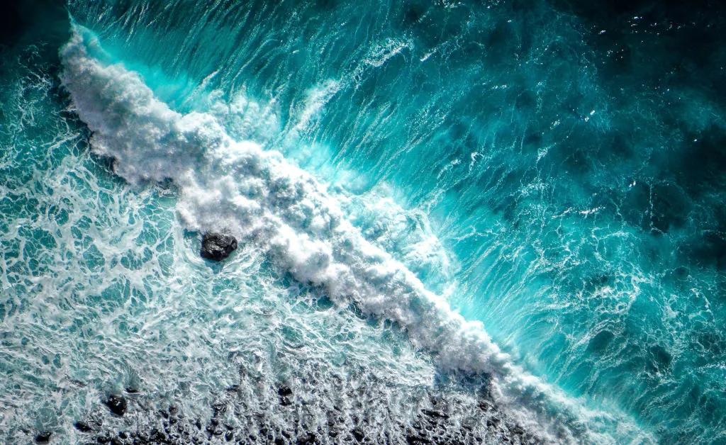 Awaken New Depths - World Oceans Day 2024