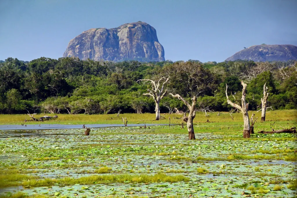 Yala Nationalpark