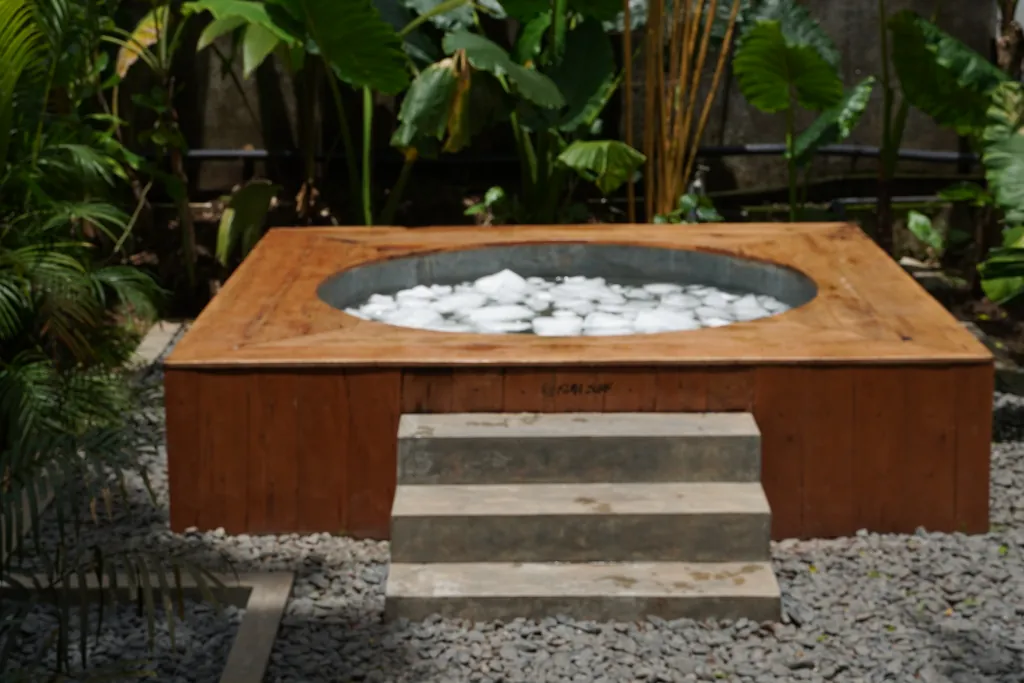 Ice Bathing: The Science Behind the Chill