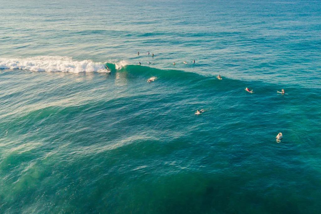 Todays Buzzing Surfing Scene