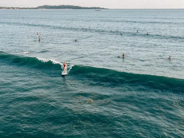 Surfing for beginner and intermediate surfer