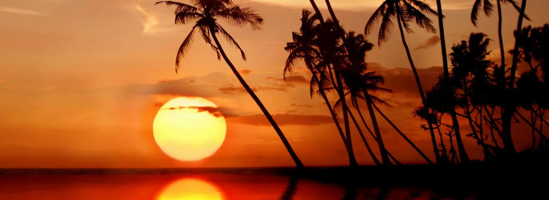 Public Holidays In Sri Lanka - Surf And Celebrate