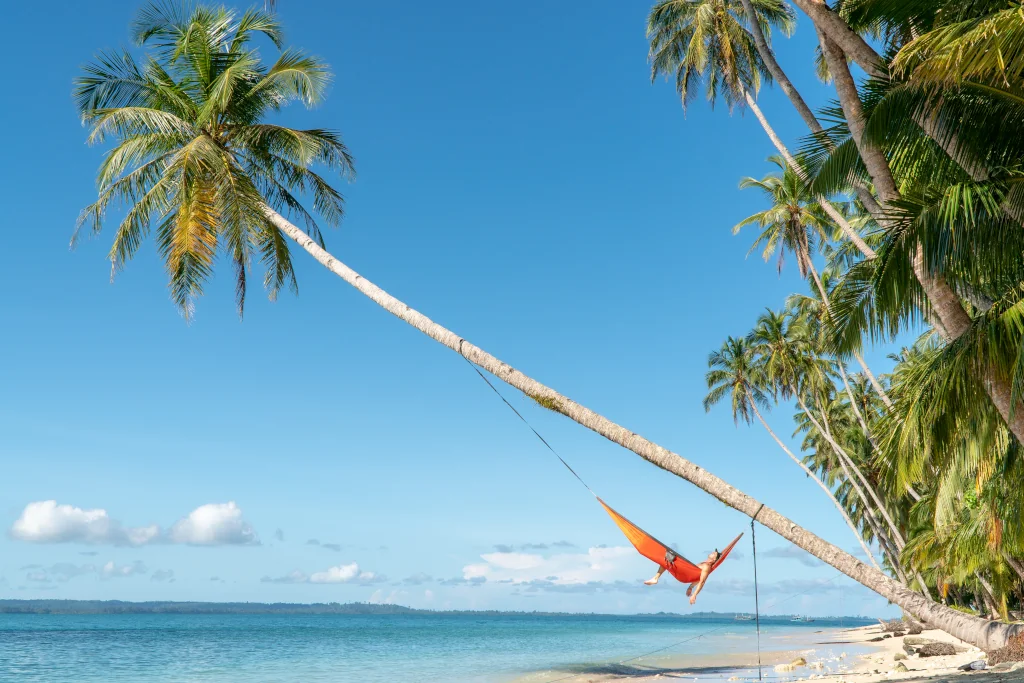 A guy in a hammock strung from a bent over coconut tree 