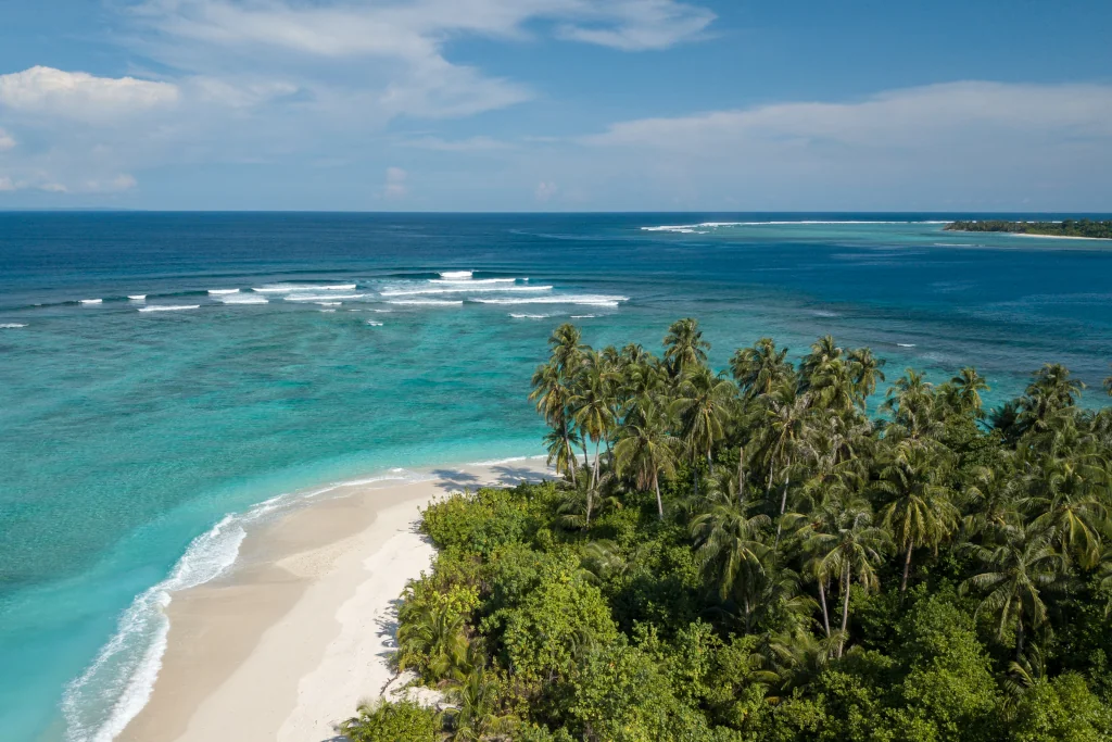 A drone image of mentawais white sand beaches, clear waters. And coconut trees.