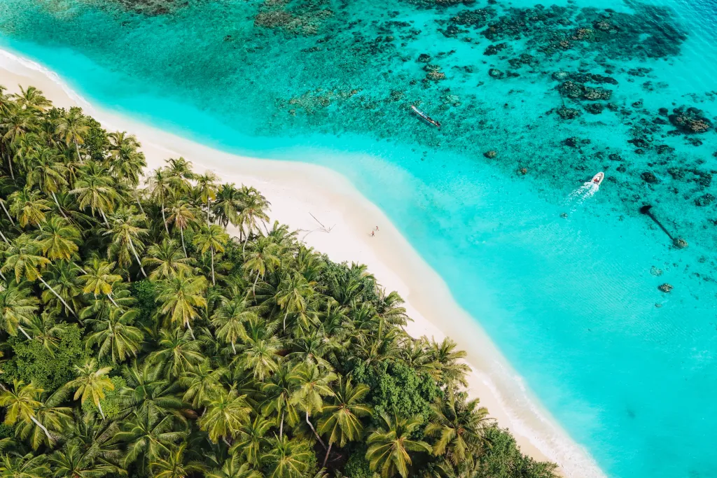 A long stretch of white sand beach lined with coconut trees and turquoise blue waters