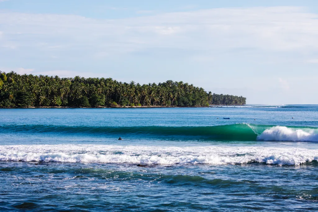 A wave breaking to the right hand side, with palm trees lining the shore to the left and a few surfers in the water.